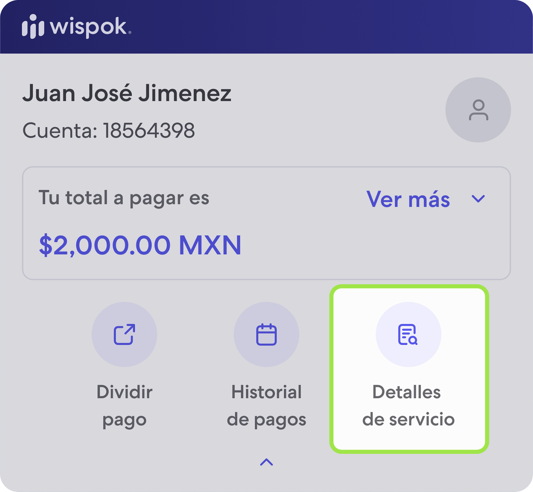 Detalles del serviciop.png